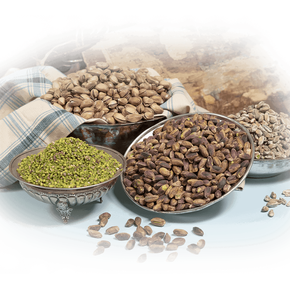 Grossiste Alimentaire Turquie : Votre Fournisseur Direct de Pistache – Image 3