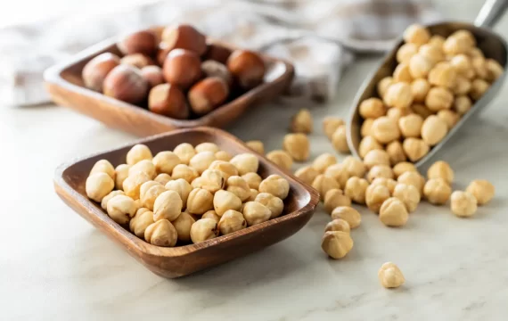 Grossiste Noix (Noisette) Turquie : Fabricant Industriel et Vente en Gros à Istanbul depuis 1975 – Image 3